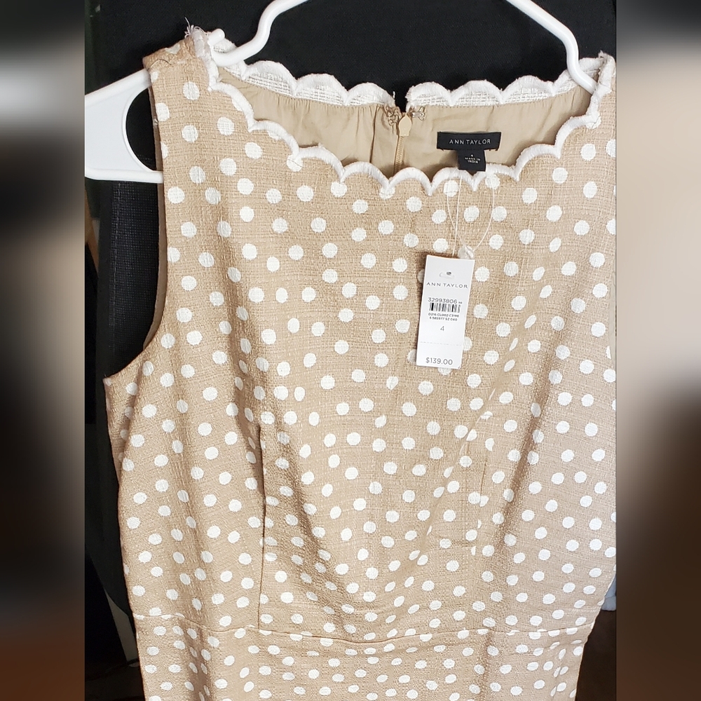 Ann Taylor Dotted Scallop Neck Sheath Classic dress NWT size 4